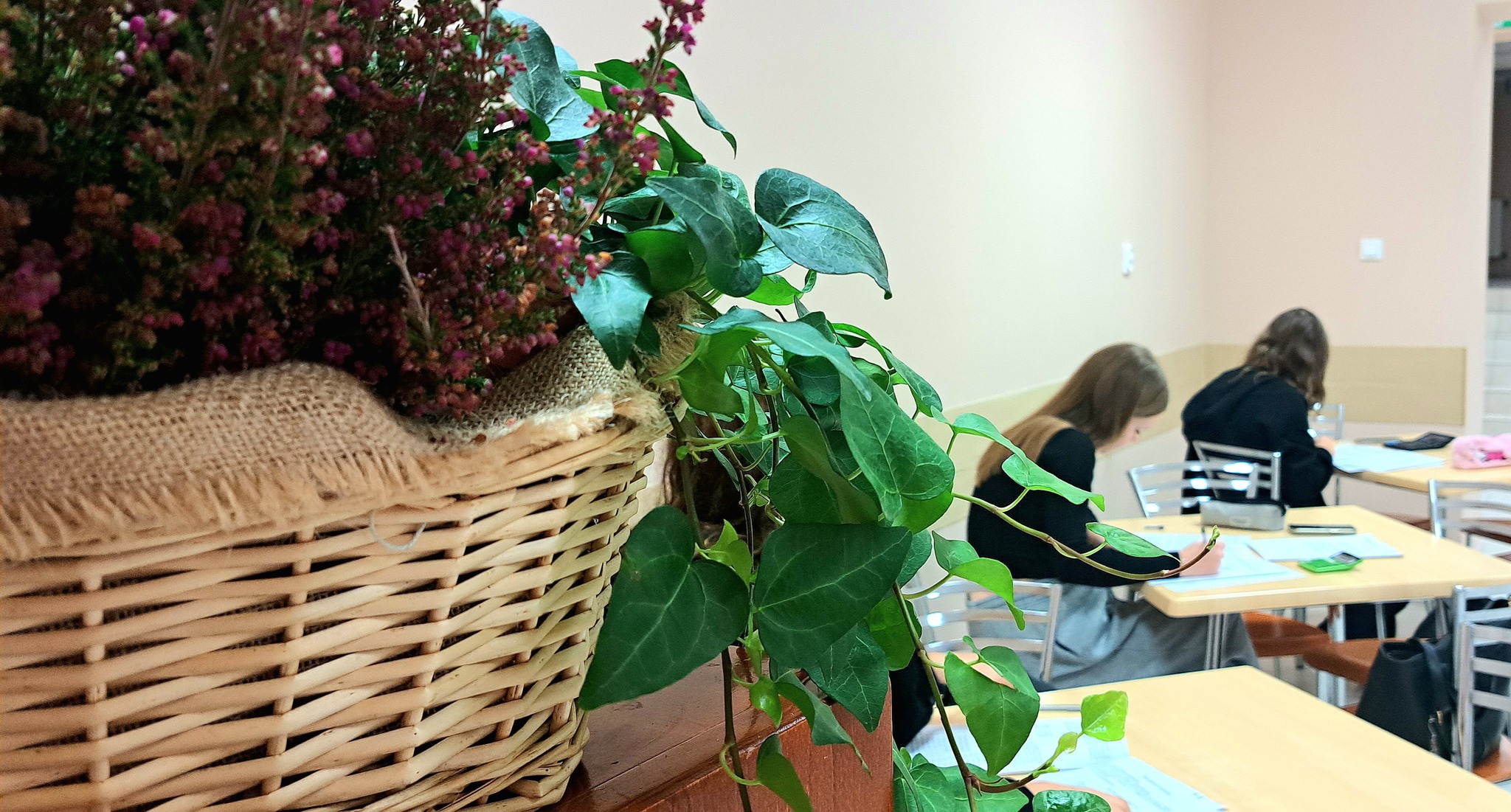 570723321_1270087454924133_7995480395515682828_n