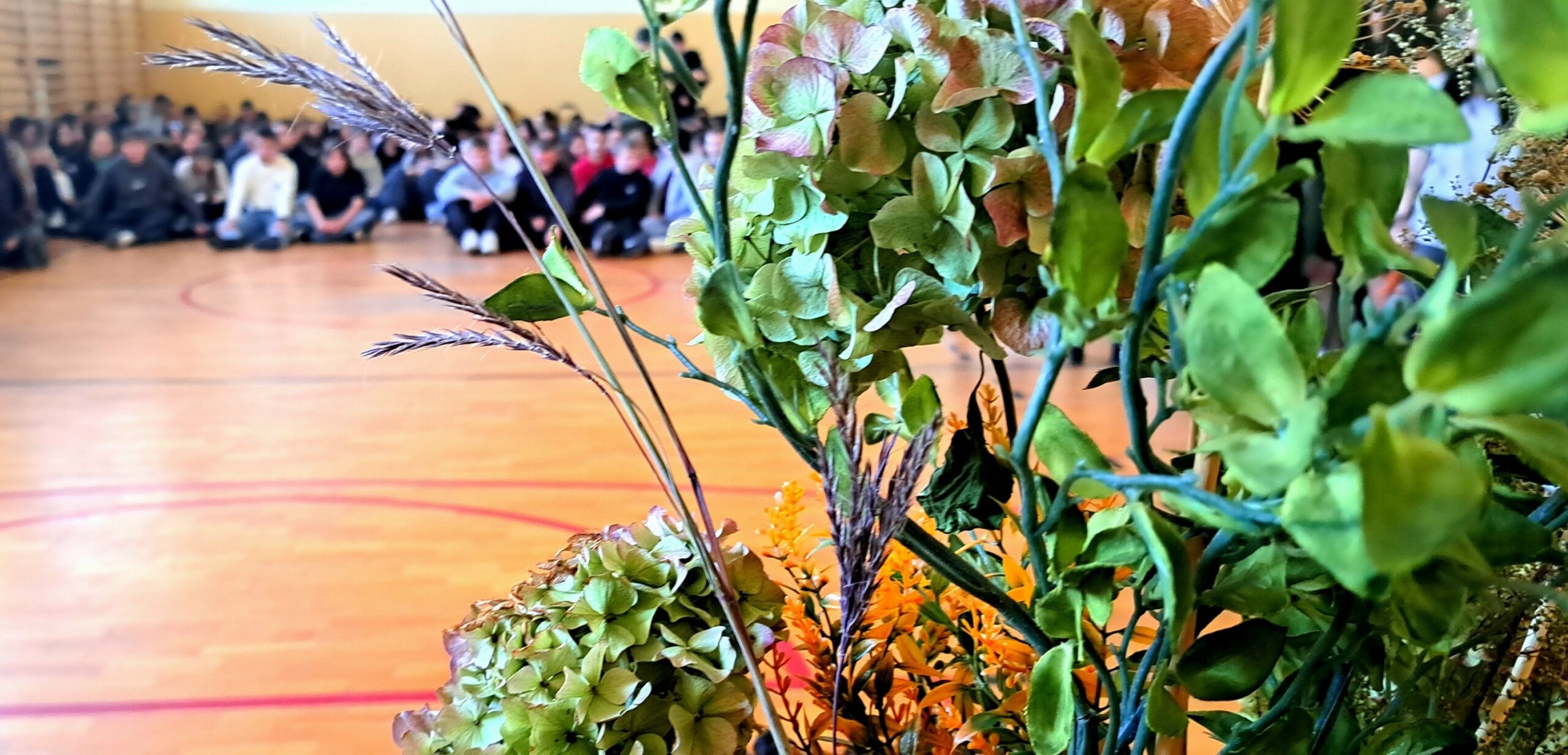 573396250_1275032741096271_7234747193834594216_n