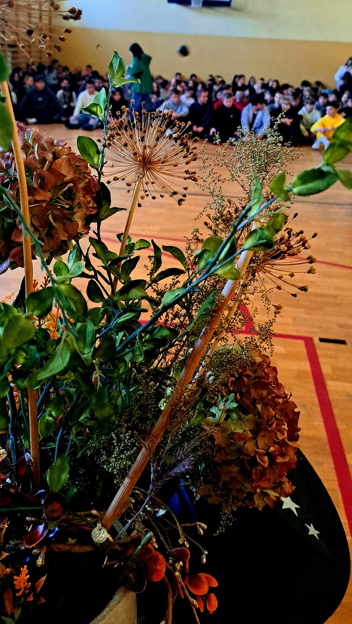 574061357_1275036327762579_7689064701290220284_n