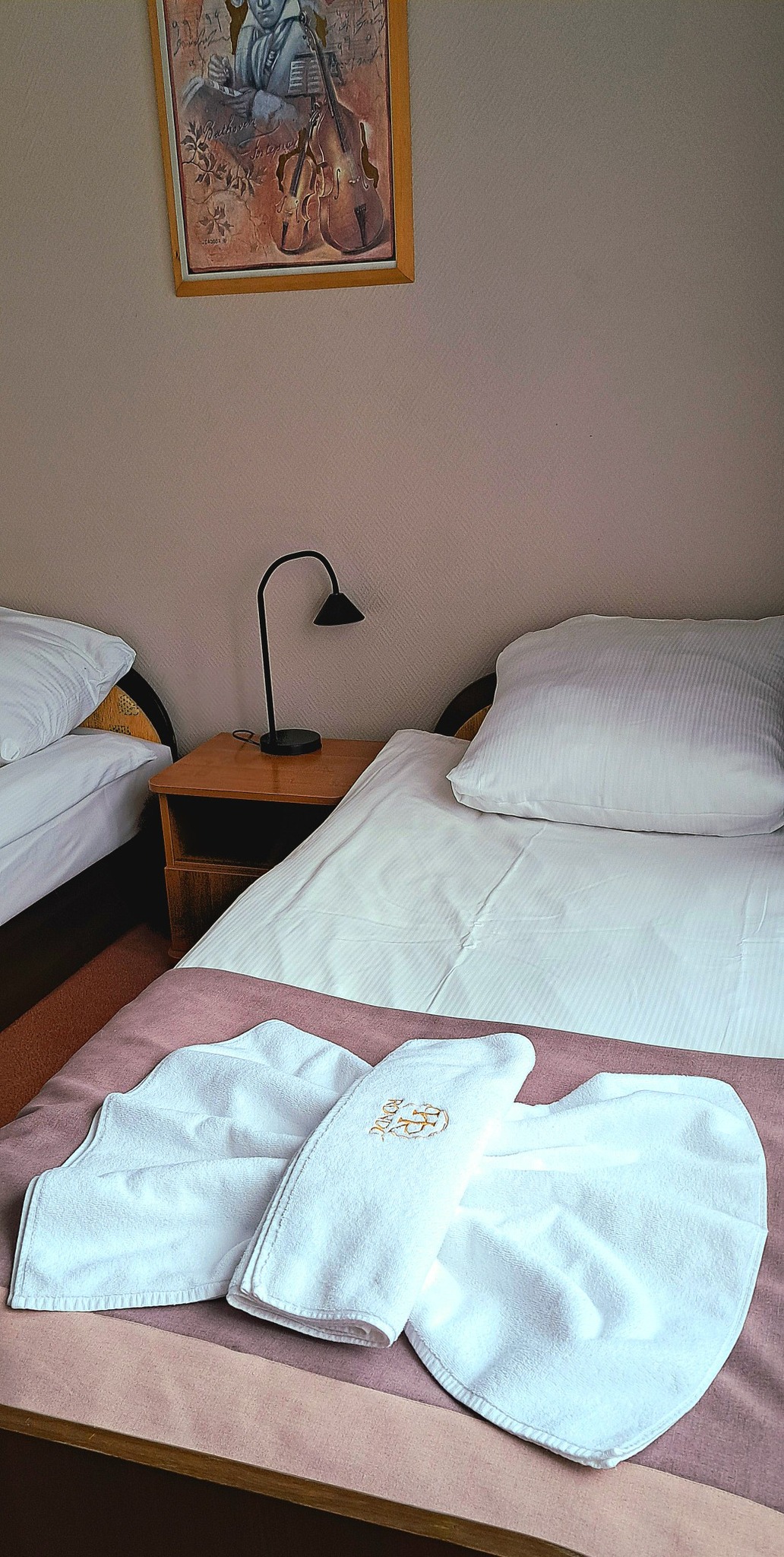 585509820_1290357392897139_8004718173494634251_n