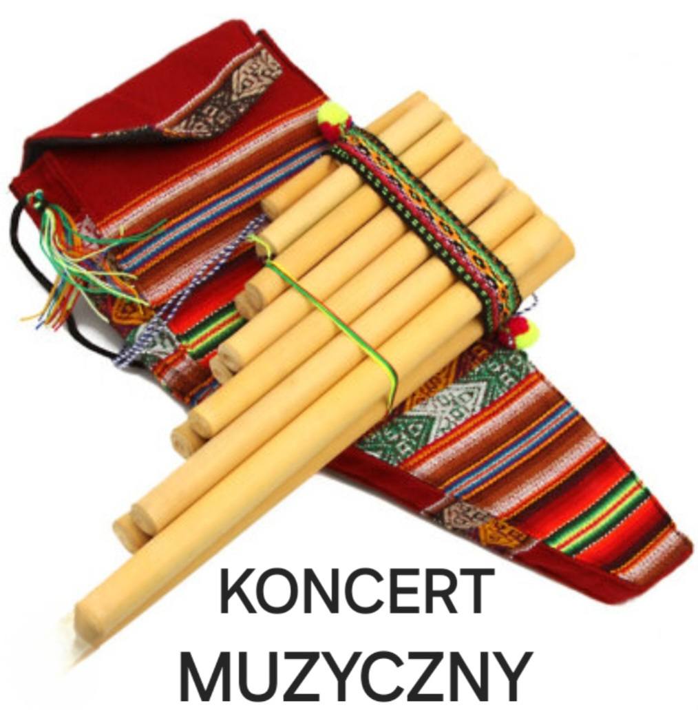 592123865_1297152055551006_6723788870949752121_n