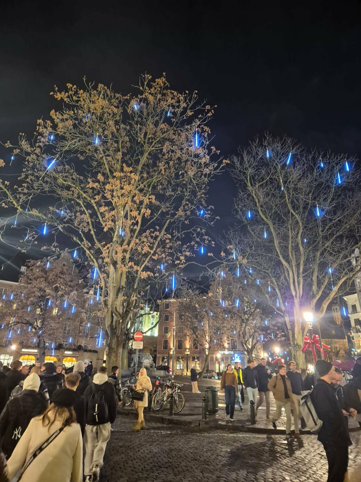 594857677_1302825994983612_1953426461153735958_n