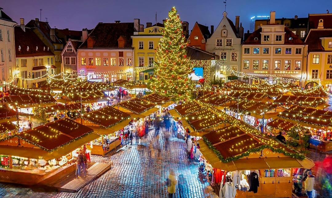 595154917_1302825831650295_8260536410428807754_n