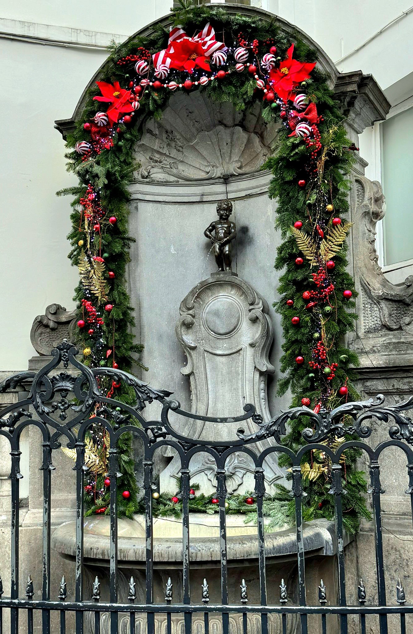 595249384_1302828338316711_7746612314550997695_n