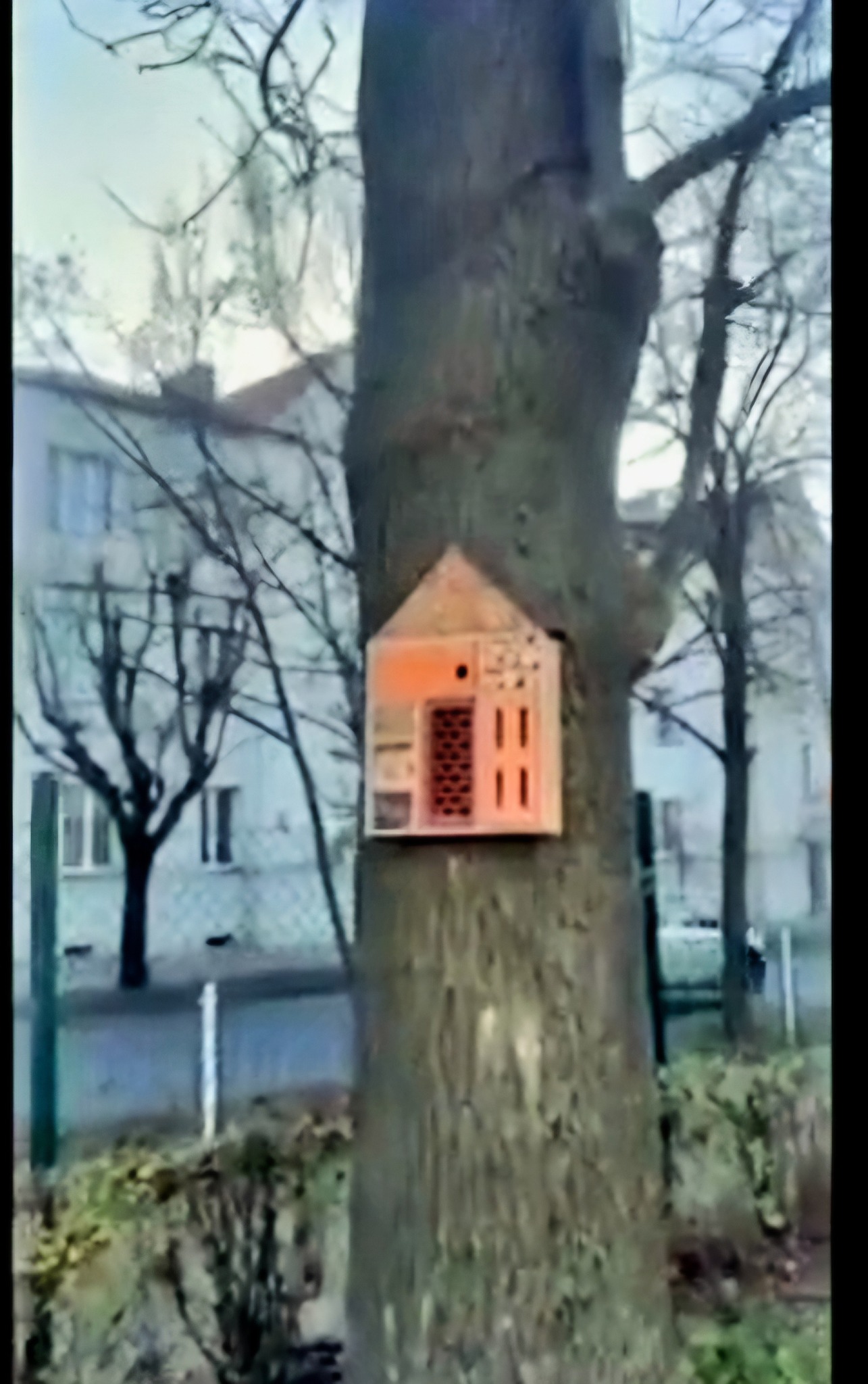 595314754_1304404221492456_2816992583398020499_n