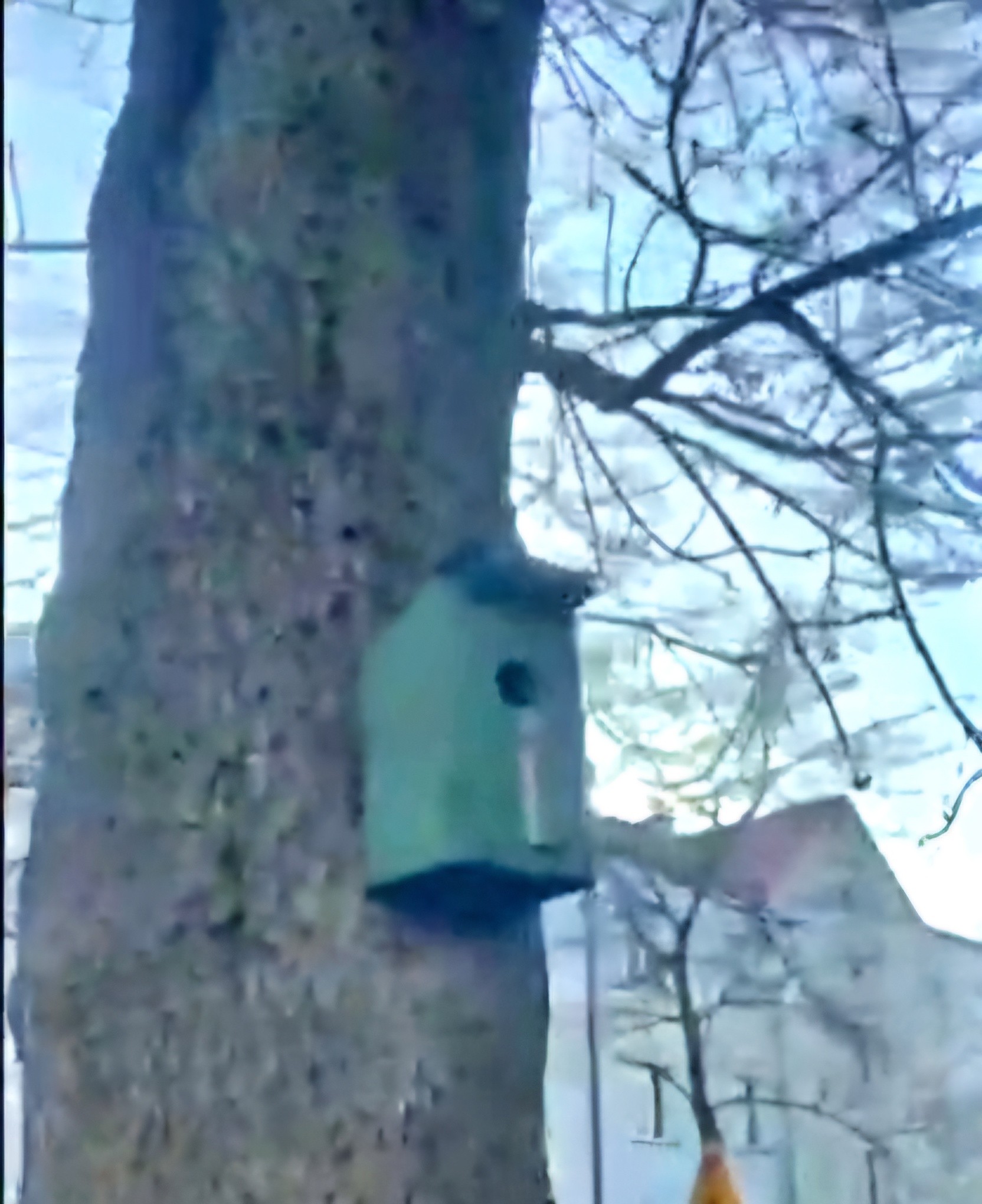 596922474_1304403774825834_1815841242778691909_n