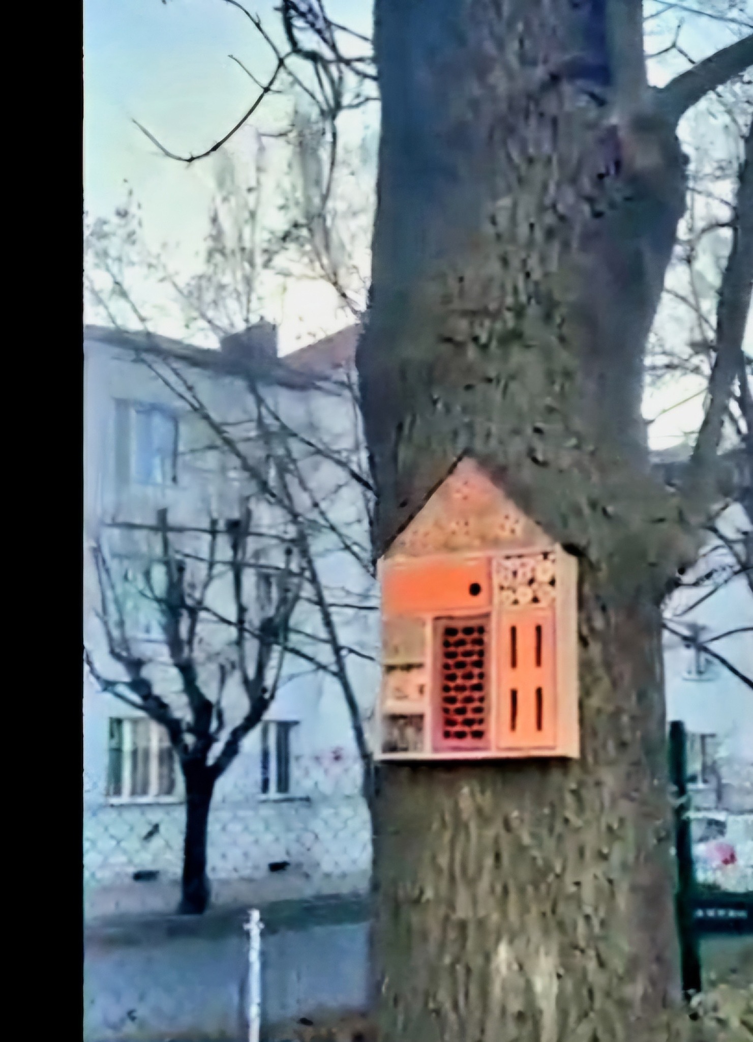 597385952_1304403708159174_3530033427898712980_n