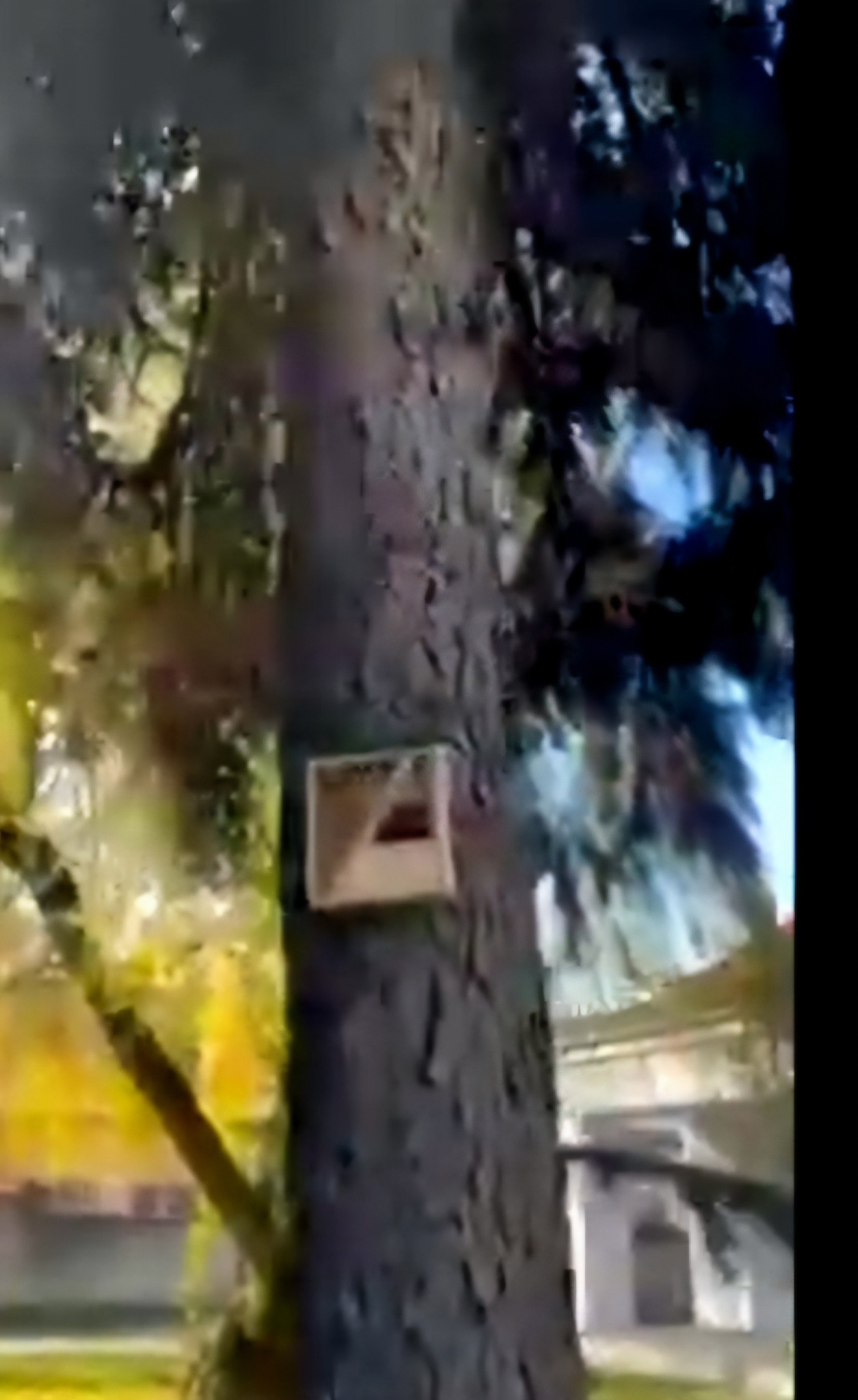 597701174_1304404178159127_5637239943327026428_n