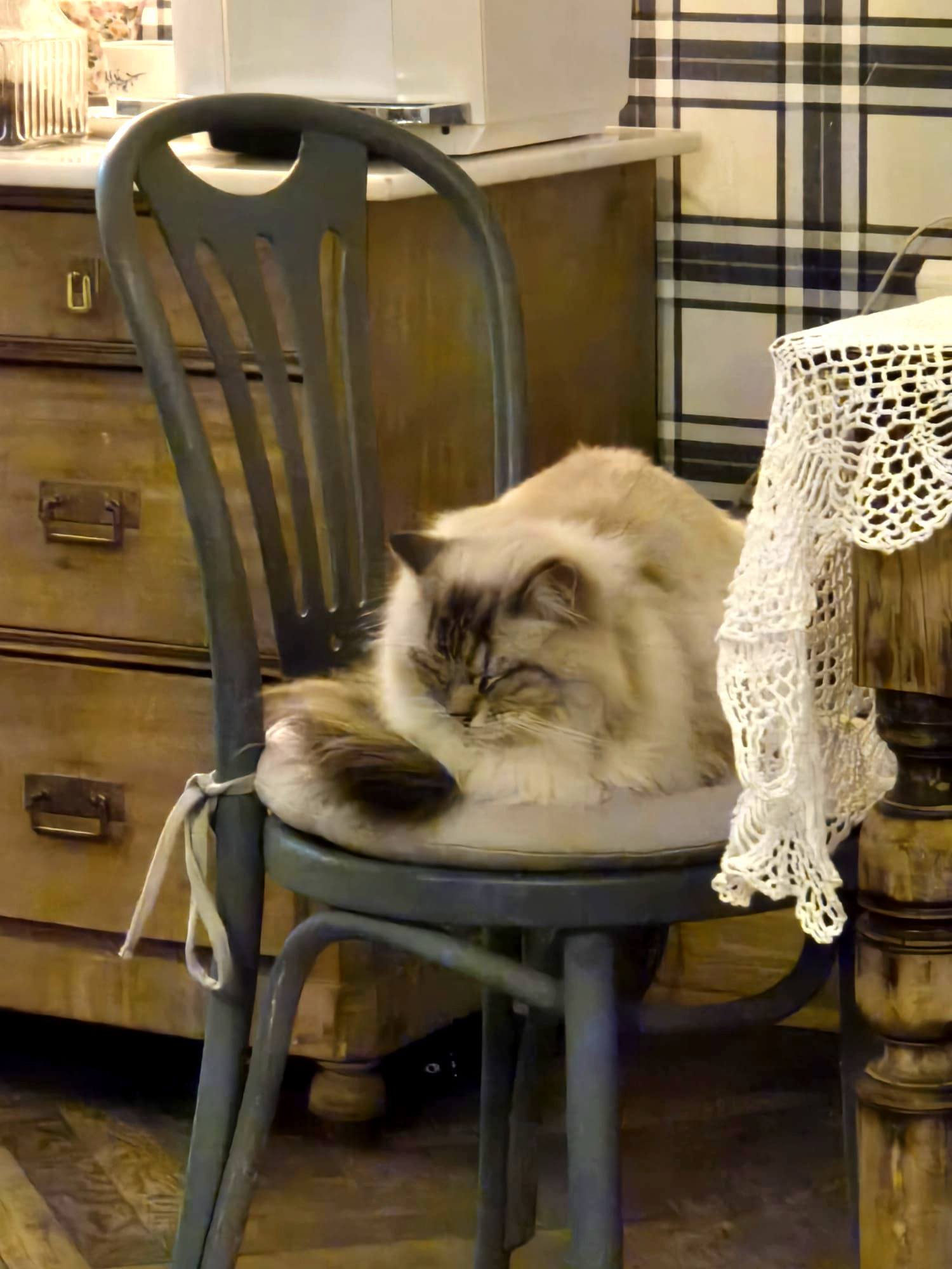 651743059_1378557050743839_1431991722723620570_n