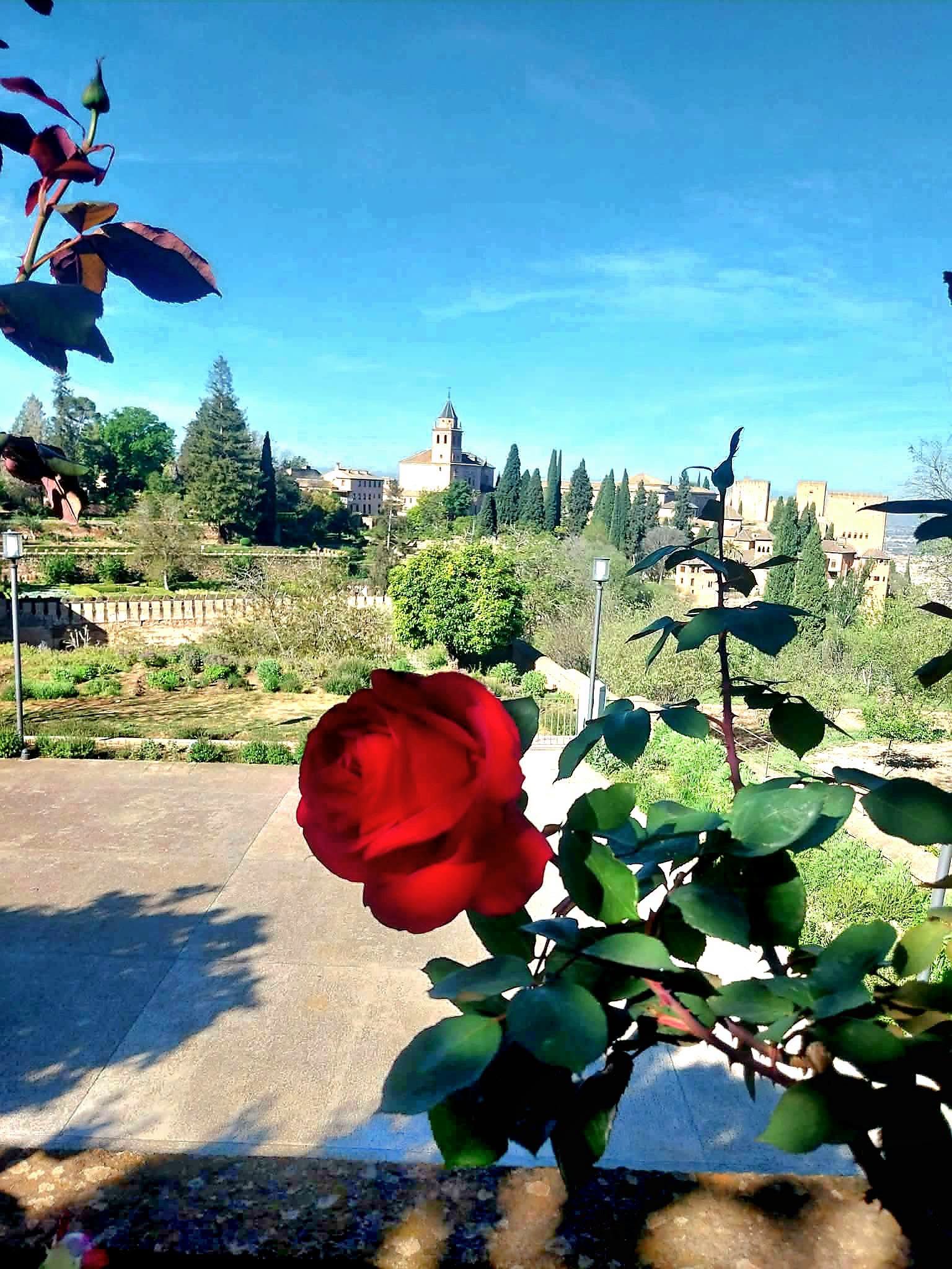 671704347_2107966420133194_5522557266370172567_n