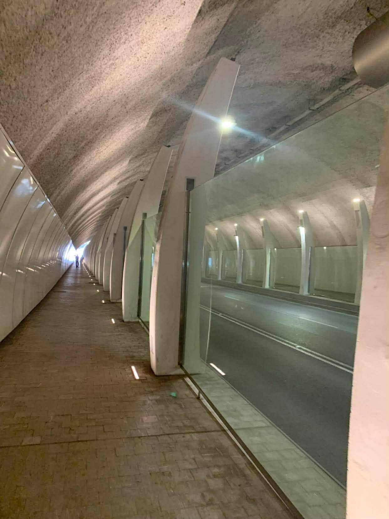 672081628_1402563405009870_6944149189424287045_n