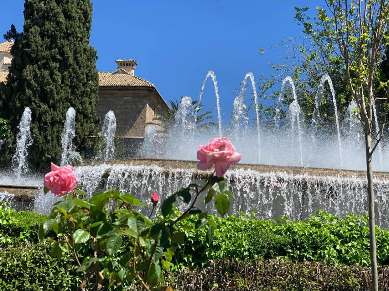 672324626_1403923428207201_4806622787328412175_n