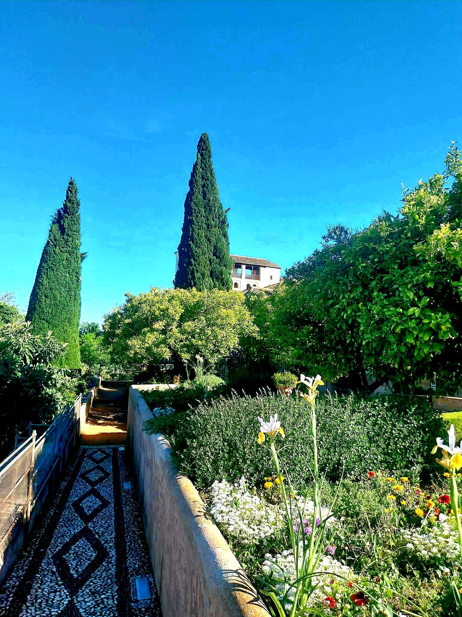 672324626_1404374018162142_3813994524965744821_n