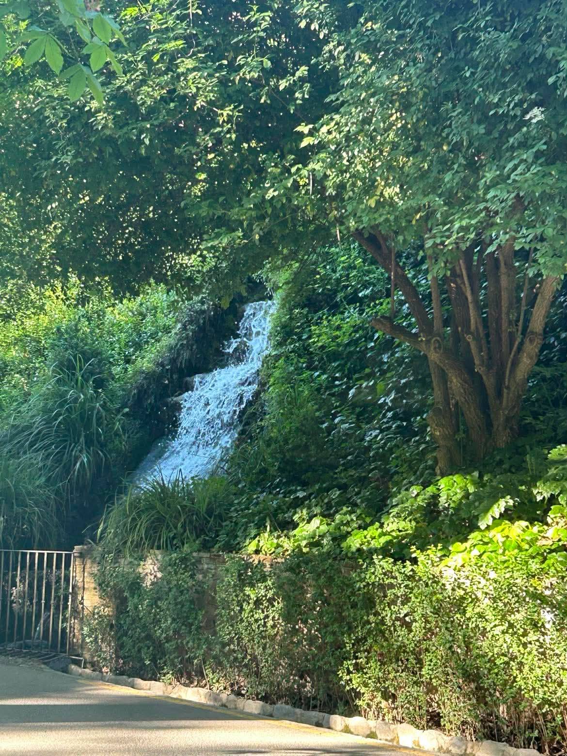 672665031_1403922191540658_6623993134747592717_n