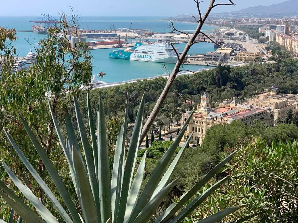 672670444_1402563818343162_5346922524437701812_n