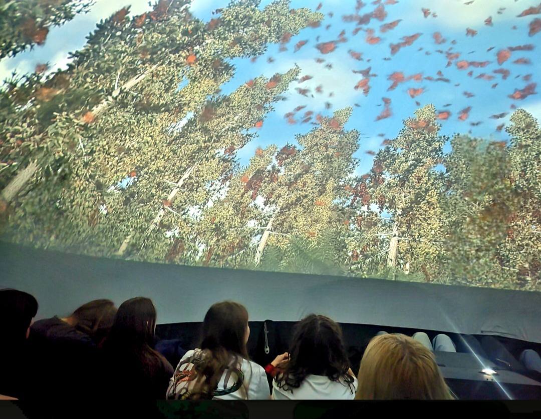 672673963_1401133201819557_6909722688399051674_n