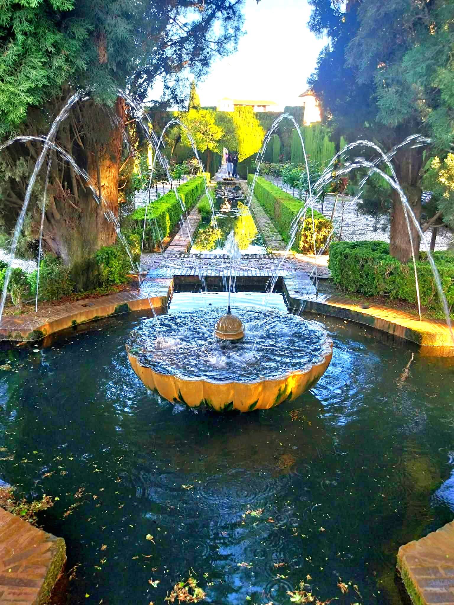 672675286_1404374064828804_6407402232312913855_n