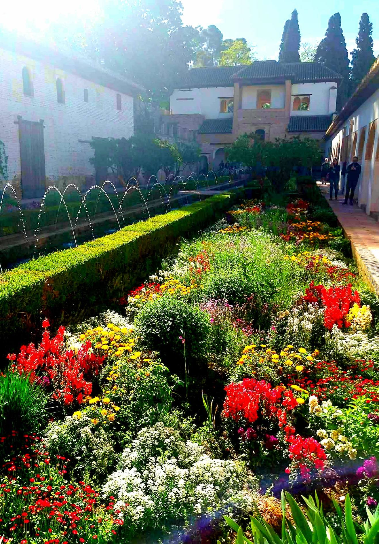 672680189_1404367634829447_9831806105896673_n