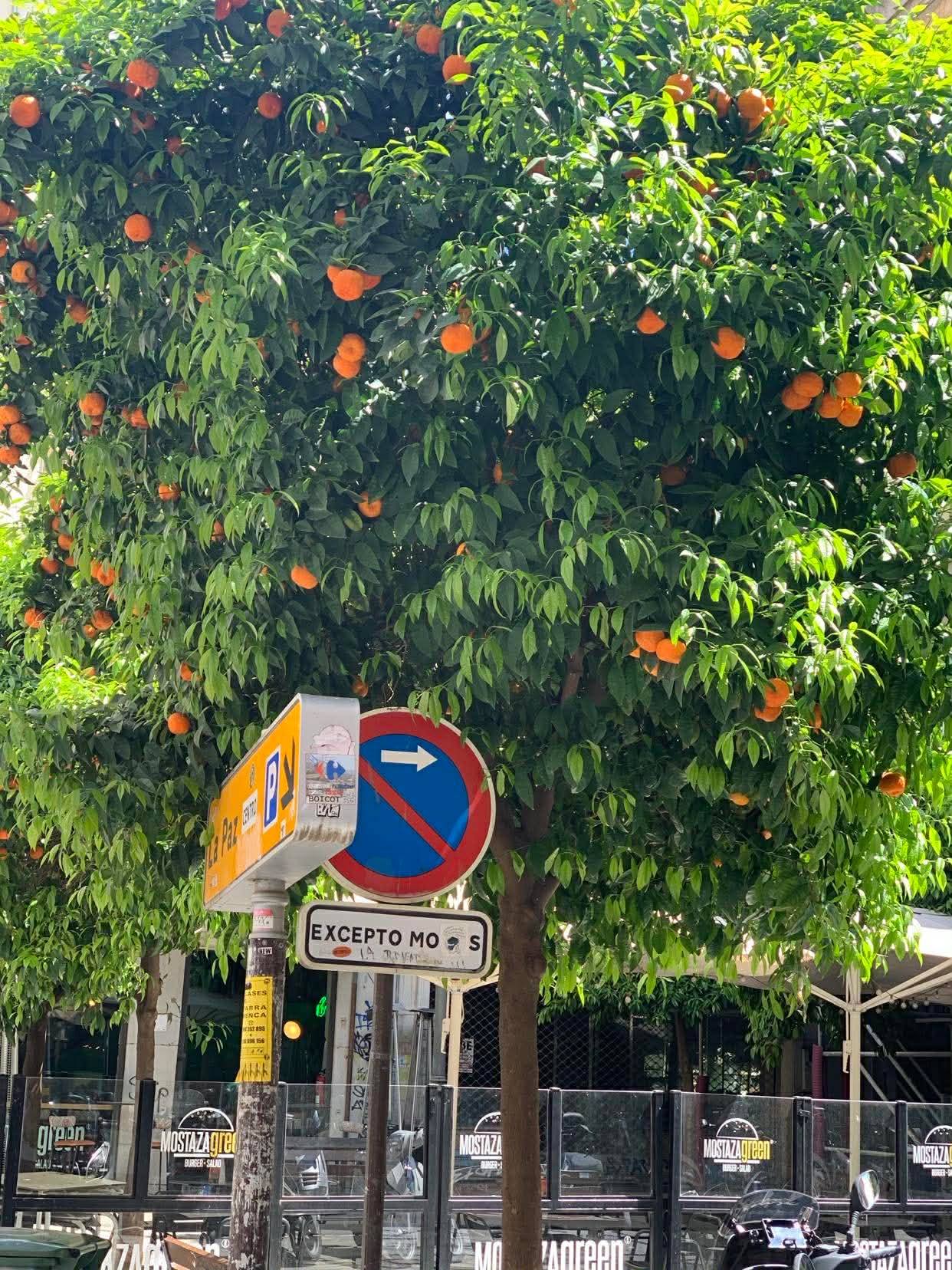 672681477_1402563295009881_812632472183203496_n