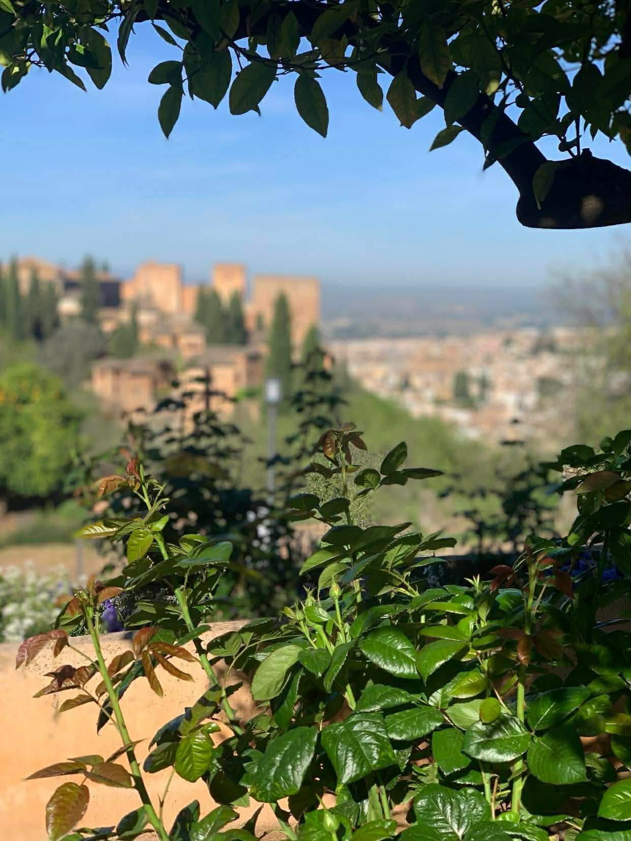 673095249_962907296332028_8228035130739630131_n