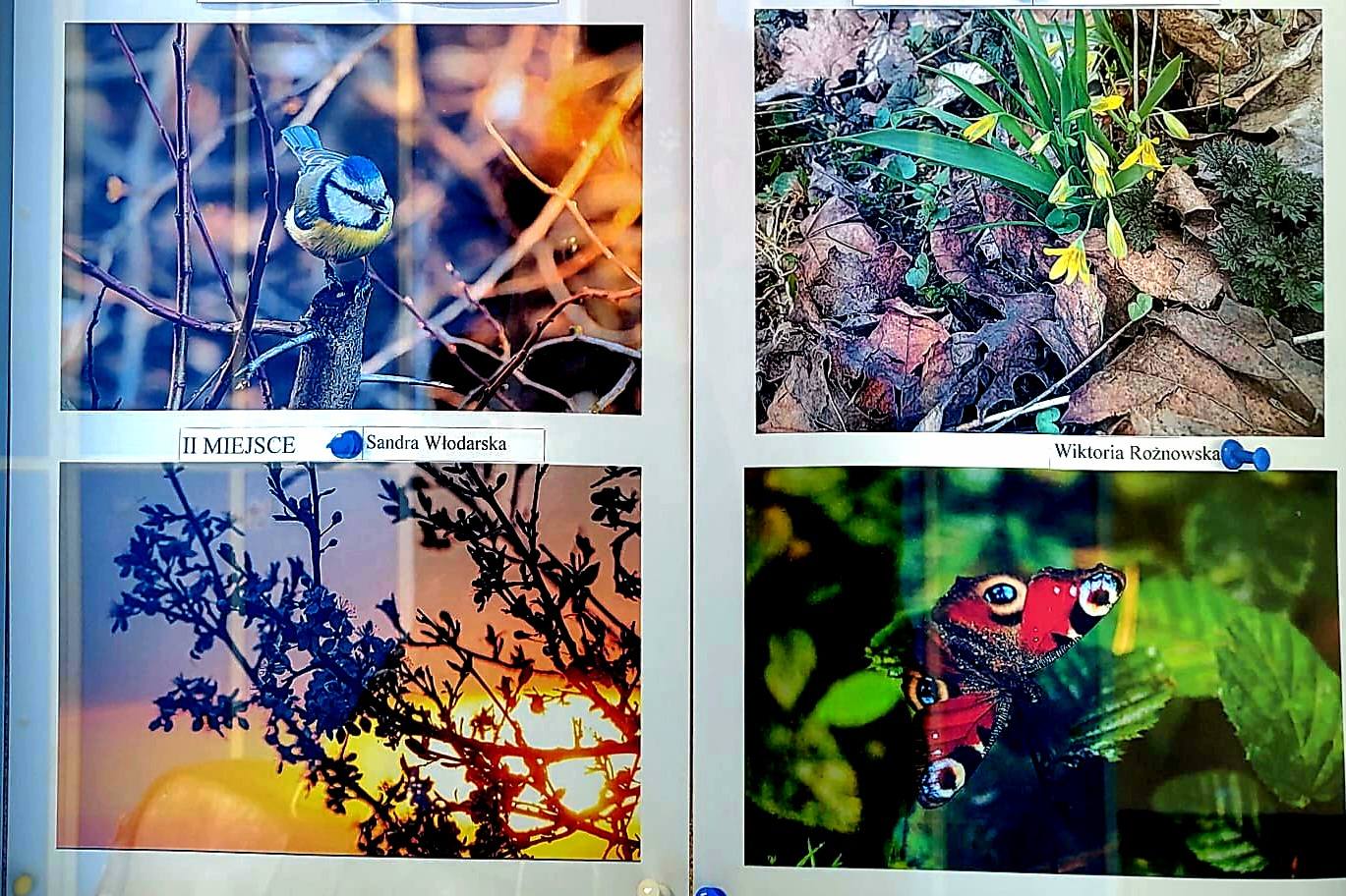 676783054_1408089697790574_5218327341707704827_n