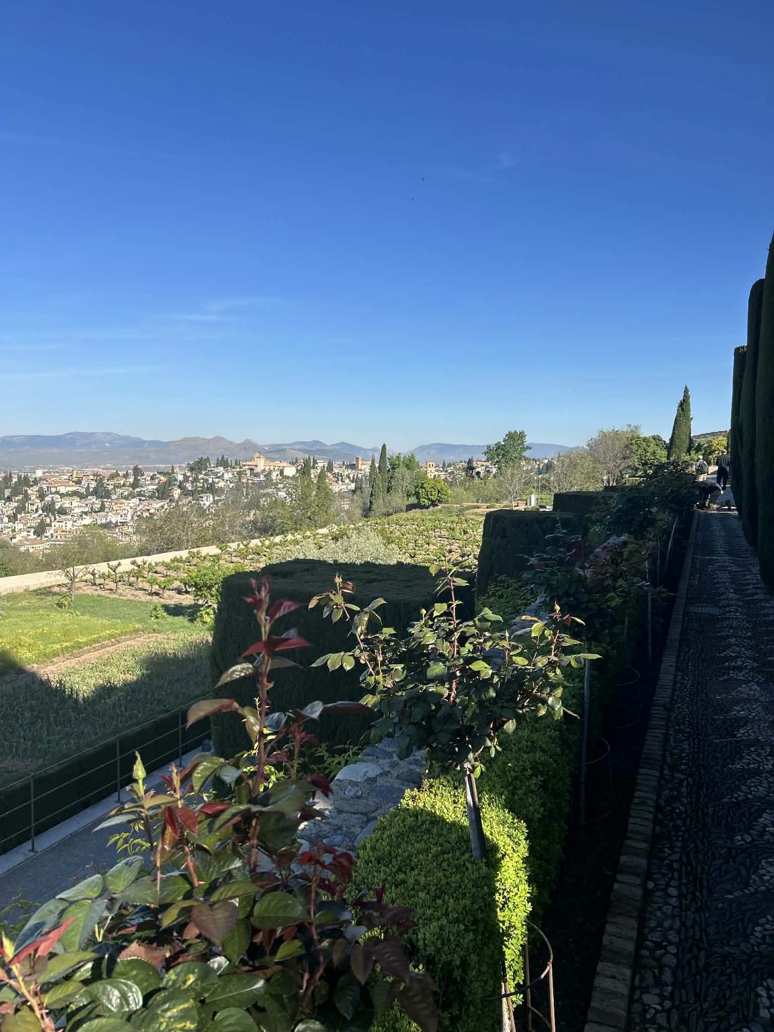 676793796_1644983436443276_1794800611370351863_n