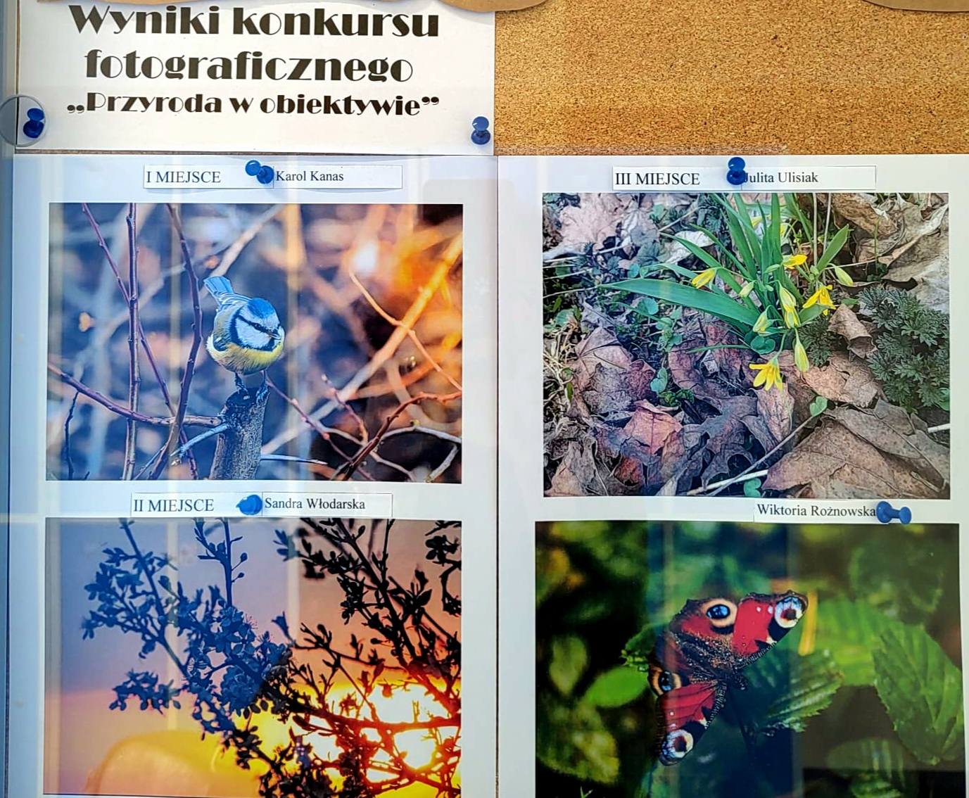 677208354_1408090244457186_3202041288650467444_n